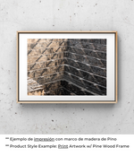 Laberinto de Eco
