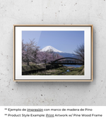 Paseo Matutino en Japón