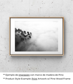 Ecos Silenciosos
