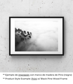 Ecos Silenciosos