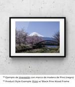 Paseo Matutino en Japón