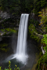 Silken Streams