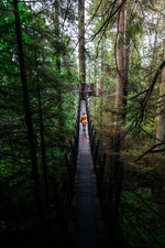 Among the Pines