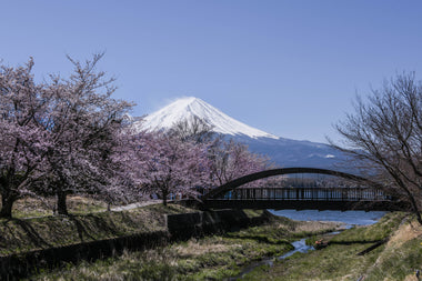 Paseo Matutino en Japón