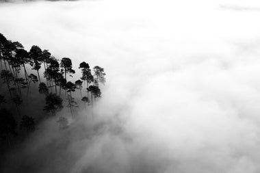 Ecos Silenciosos