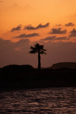 Horizonte Dorado